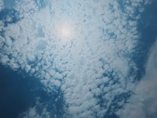 94A379E5-BB72-4FBE-A0A4-A4FB041C6310/L0/001