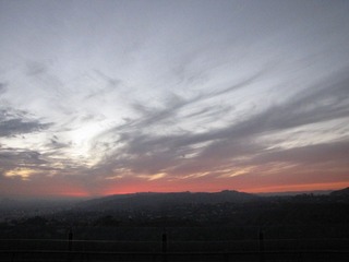IMG_4790.JPG