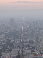 IMG_4795.JPG