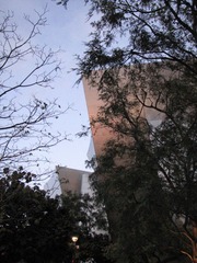 IMG_4951.JPG