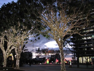 IMG_4967.JPG