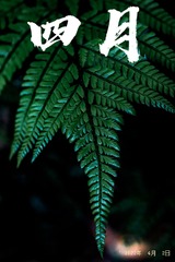 51D23003-9148-47E2-B4E4-B67296C52239/L0/001