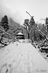 20120405_chengdu_0087.jpg