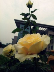 WP_000571_副本.jpg