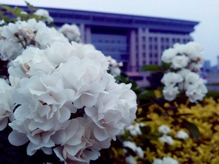 WP_000579_副本.jpg