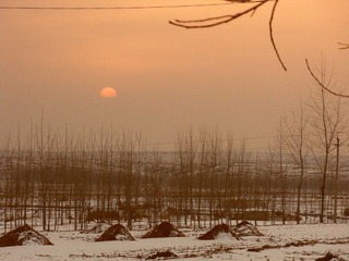 SDC11025.JPG