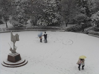 SDC12918.JPG