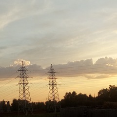 236828