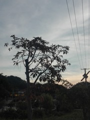 118071