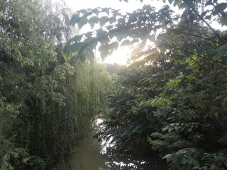 118081