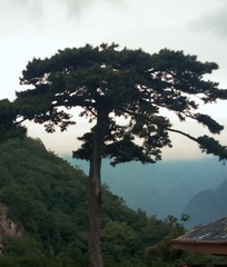 1999