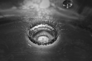 DSC_5036.jpg