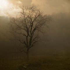 DSCF5371.jpg