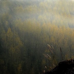 DSCF5210.jpg