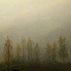 DSCF5238.jpg