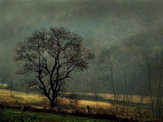 DSCF05375.jpg