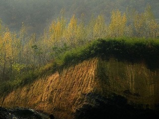 DSCF5237.jpg