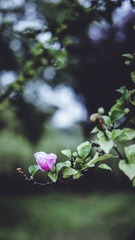 9AE67869-11DC-4276-8D57-2A2B9E5B8B9F/L0/001