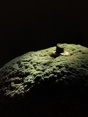 IMG20240401094125