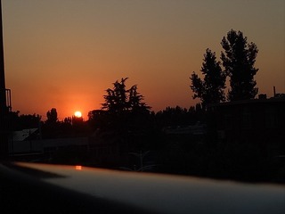 306197