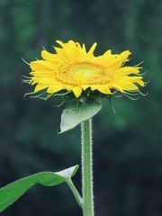 B8B89269-BFA5-4297-AA35-03283712FB84/L0/001