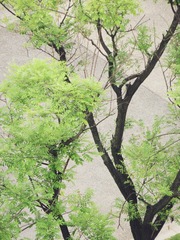 679194F1-8CBF-4154-A3E6-ED1F49D0FA49/L0/001