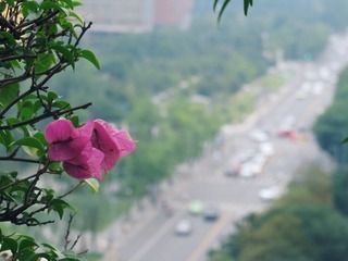 65ABA829-948F-4692-8C4F-29AE78946355/L0/001