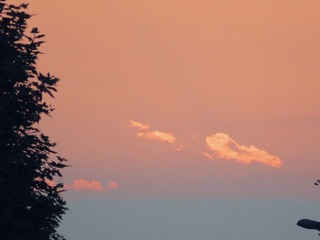 AAE4F150-767A-4BD6-85C2-35D68F218FFC/L0/001