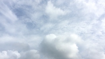 EB2457B6-26BD-4B4A-8BF8-2CA5D0B15726/L0/001