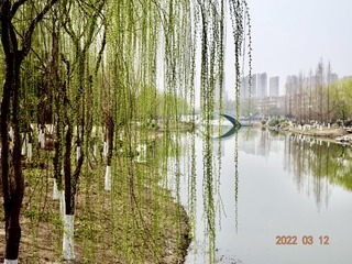 FCAA4B8C-01A7-4A28-8D3A-591E09B0E27E/L0/001