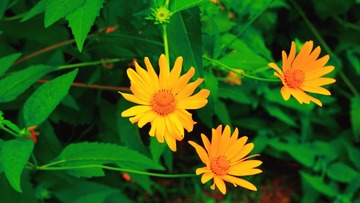 BD540C4C-324F-457E-AC6F-63CB1A45B048/L0/001