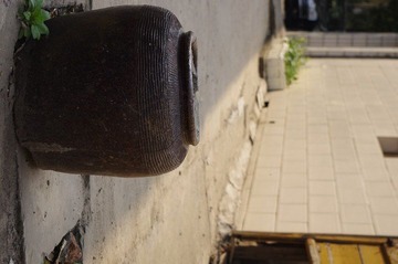 IMGP1743.JPG