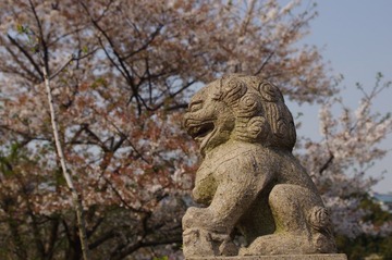 IMGP1752.JPG