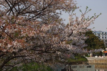 IMGP1753.JPG