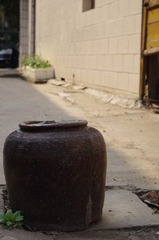 IMGP1743.JPG