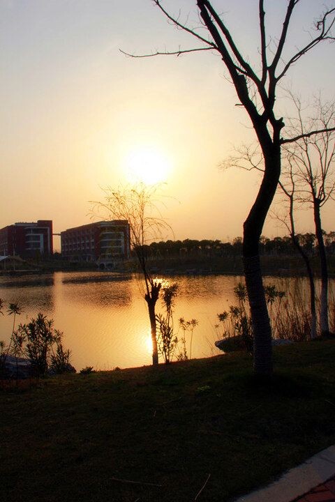 IMG_1959_<br />
