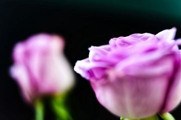 F3105E23-13EA-4978-A9A9-12E7CA466F35/L0/001