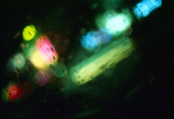 Scan-120702-0008.jpg