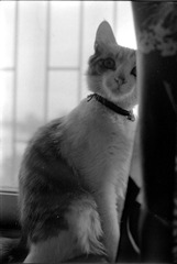 Scan-130503-0002.jpg
