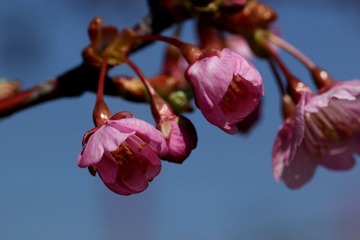 IMG_0015.JPG