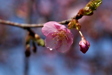 IMG_0026.JPG