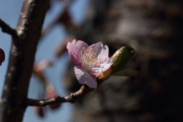 IMG_0045.JPG