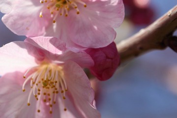 IMG_0096.JPG