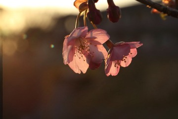 IMG_0312.JPG