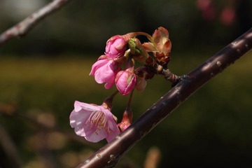 IMG_9732.JPG