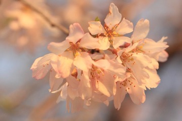 IMG_0862.JPG