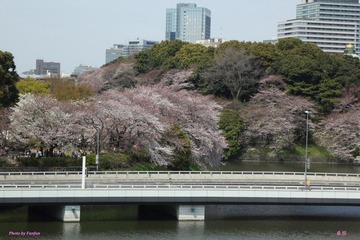 IMG_5670a.jpg