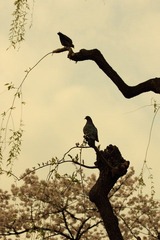 IMG_5912.JPG