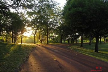 IMG_5160a.jpg