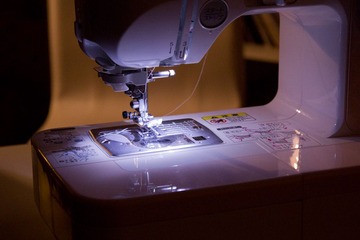 7684a.jpg